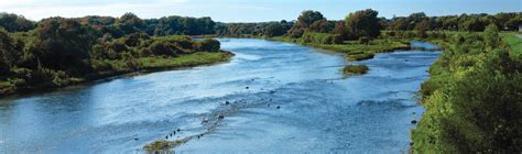 brantford citynet login|Utilities and Water .